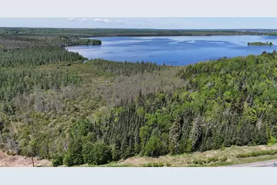 Tbd 21 Nett Lake Rd, Orr, MN 55771 - Photo 4