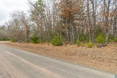 Lot 1 S Madison Ave, Wascott, WI 54838 - Photo 6