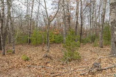 Lot 2 S Madison Ave, Wascott, WI 54838 - Photo 6