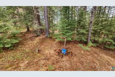 80064 Osprey Pass, Tower, MN 55790 - Photo 10