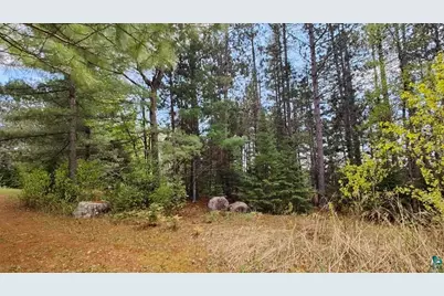 80064 Osprey Pass, Tower, MN 55790 - Photo 1