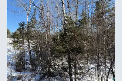 Xxx Hwy 12, Two Harbors, MN 55616 - Photo 14