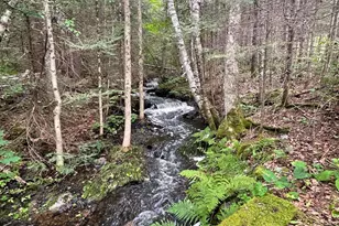 2779 Wolf Track Trail, Ely, MN 55731 - Photo 46