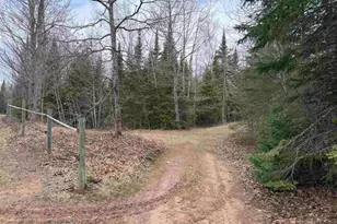 6588 S County Rd P, Lake Nebagamon, WI 54849 - Photo 58