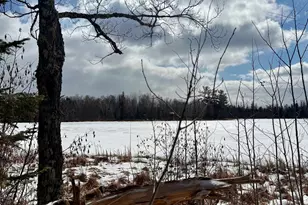 8157 E Stone Lake Rd, Zim, MN 55738 - Photo 4