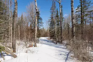 851 Forest Heights Rd, Knife River, MN 55609 - Photo 44