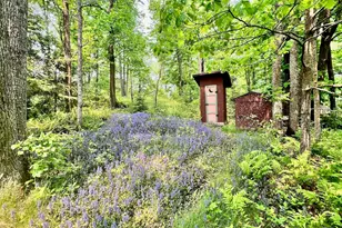 Tbd Pelican Lake Island, Orr, MN 55771 - Photo 26