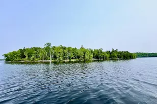 Tbd Pelican Lake Island, Orr, MN 55771 - Photo 34