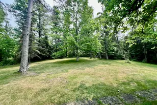 Tbd Pelican Lake Island, Orr, MN 55771 - Photo 22