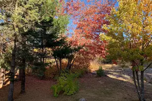 2606 Bear Island Resort Rd, Babbitt, MN 55706 - Photo 76