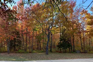 2606 Bear Island Resort Rd, Babbitt, MN 55706 - Photo 72