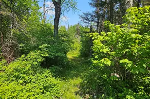 839 Loon Rd, Two Harbors, MN 55616 - Photo 20