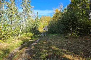 4251 Sugar Point Island, Orr, MN 55771 - Photo 18