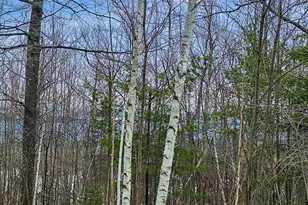 Xxx Apple Hill Rd, Bayfield, WI 54814 - Photo 1