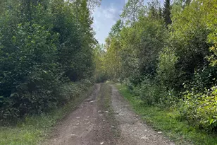 Xx S Lost Lake Rd, Hovland, MN 55606 - Photo 1