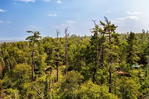 92 Erickson Trail, Tofte, MN 55615 - Photo 76