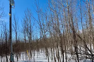 6269 Hwy 1, Finland, MN 55603 - Photo 22