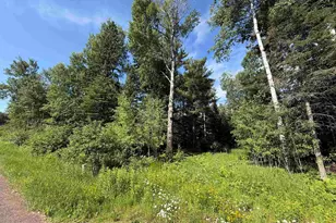 115 Marks Rd, Esko, MN 55733 - Photo 1
