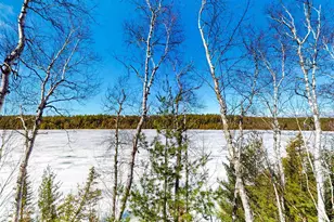41 S Bearskin Rd, Grand Marais, MN 55604 - Photo 26