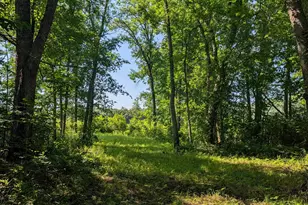 Tbd Cemetery Rd, Orr, MN 55771 - Photo 1