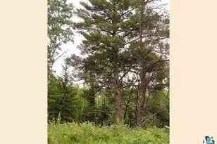 1687 Golden Ridge Trail, Ely, MN 55731 - Photo 1