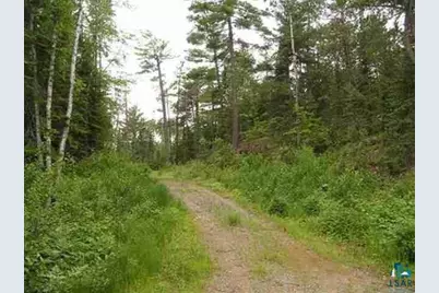 1687 Golden Ridge Tr, Ely, MN 55731 - Photo 2
