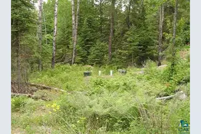 1687 Golden Ridge Tr, Ely, MN 55731 - Photo 6