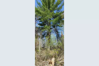 1687 Golden Ridge Tr, Ely, MN 55731 - Photo 10