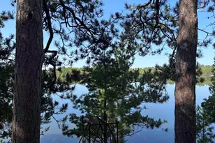 1531 Bear Head State Park Rd, Ely, MN 55731 - Photo 6