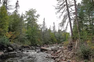 7185 Hwy 1, Finland, MN 55603 - Photo 58