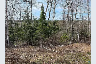 1480 Maijala Rd, Ely, MN 55731 - Photo 46