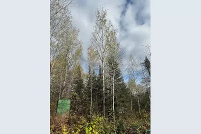 7064 Cramer Rd, Finland, MN 55603 - Photo 10