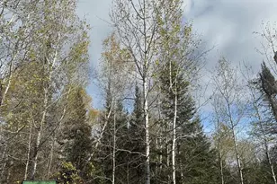 7064 Cramer Rd, Finland, MN 55603 - Photo 10