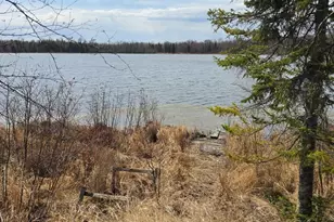 2217 Michael Beach Rd, Zim, MN 55738 - Photo 48