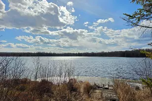 2217 Michael Beach Rd, Zim, MN 55738 - Photo 4