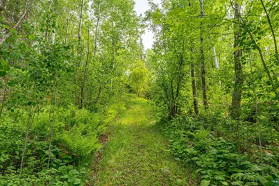 2445 Reed Rd, Ely, MN 55731 - Photo 50