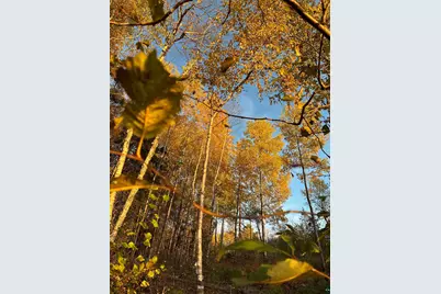 2445 Reed Rd, Ely, MN 55731 - Photo 62