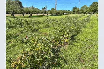 34045 S County Hwy J, Bayfield, WI 54814 - Photo 8