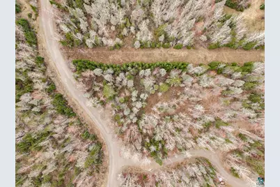 4Xxx Eagles Nest Dr, Makinen, MN 55763 - Photo 6