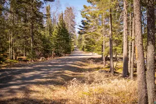 144 Stonegate Rd, Hovland, MN 55606 - Photo 88
