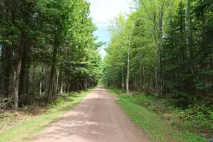 78815 State Hwy 13, Washburn, WI 54891 - Photo 4