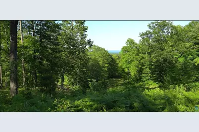 83Xxx Ashwabay Heights Rd, Bayfield, WI 54814 - Photo 6