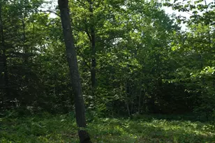 83Xxx Ashwabay Heights Rd, Bayfield, WI 54814 - Photo 6