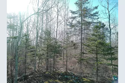 2Xx Overlook Tr, Tofte, MN 55615 - Photo 18
