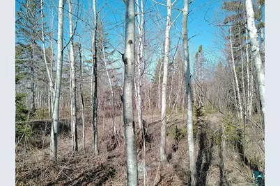 2Xx Overlook Tr, Tofte, MN 55615 - Photo 26