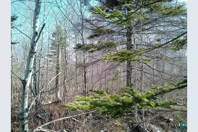 2Xx Overlook Tr, Tofte, MN 55615 - Photo 30