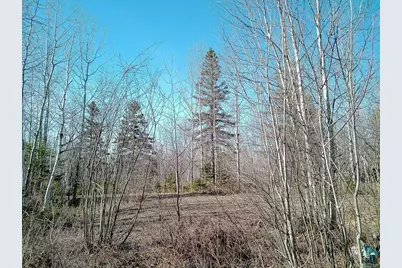 2Xx Overlook Tr, Tofte, MN 55615 - Photo 1