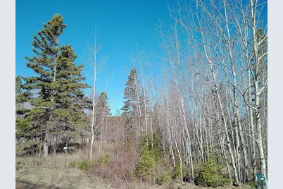 2Xx Overlook Tr, Tofte, MN 55615 - Photo 42