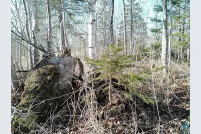 2Xx Overlook Tr, Tofte, MN 55615 - Photo 2