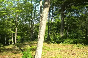 83Xxx Ashwabay Heights Rd, Bayfield, WI 54814 - Photo 10